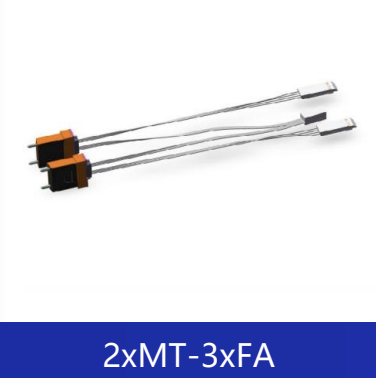 2xMT-3xFA